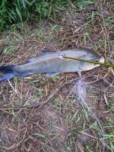 1053021_4599865049308_1900384248_o